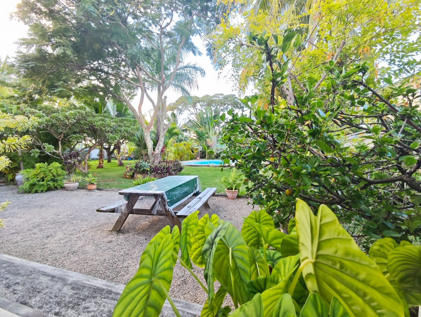 BUNGALOW FOR RENT IN ROCHE NOIRE – 3 BEDROOMS - NORTH EAST – Roches Noires