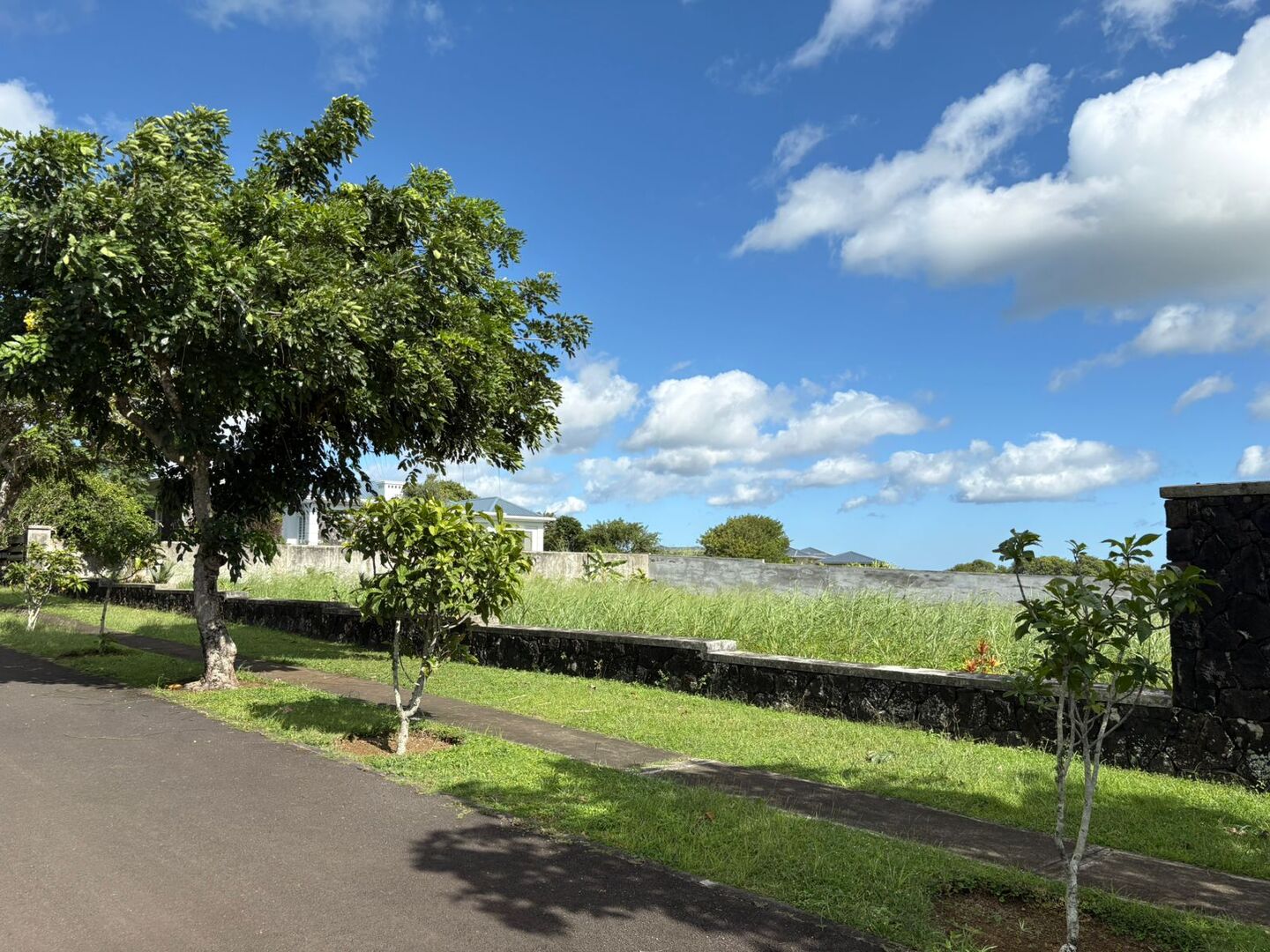 LAND FOR SALE – MONT PITON – NORTH – Mapou