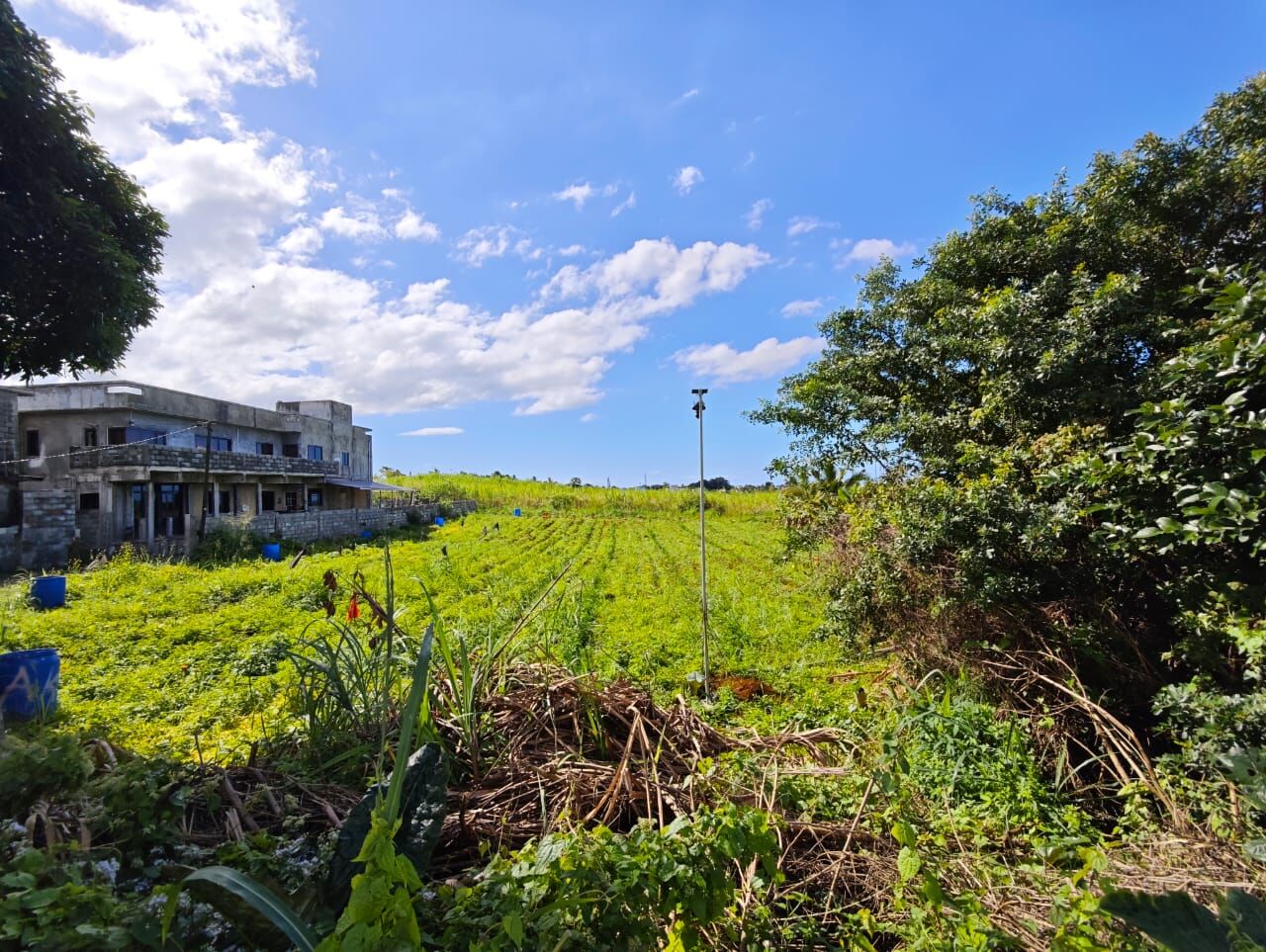 RESIDENTIAL LAND FOR SALE – BARLOW - NORTH – Barlow