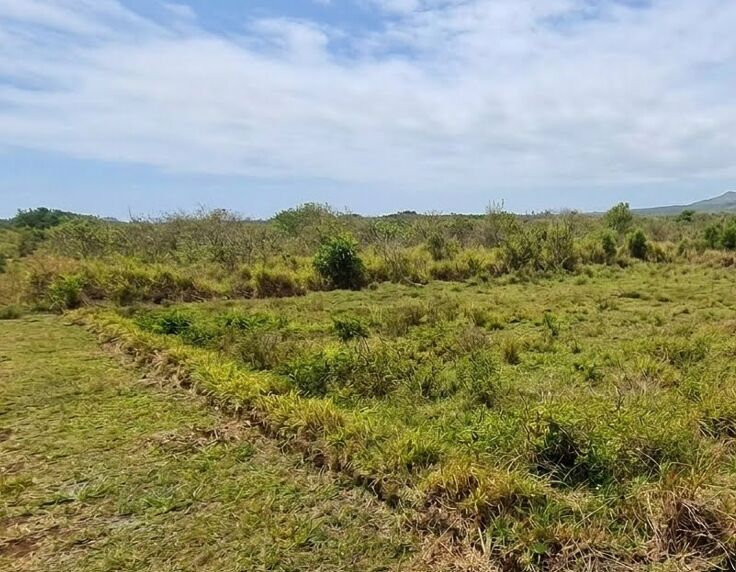FOR SALE – RESIDENTIAL LAND IN GRAND BAIE | LOCAL MARKET – Grand Baie