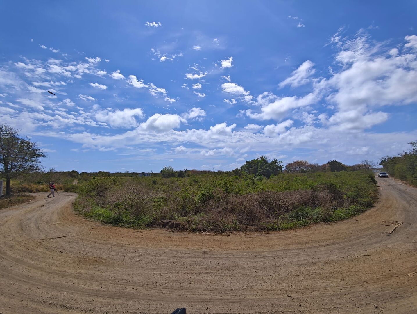 For sale - Land - Mont Mascal