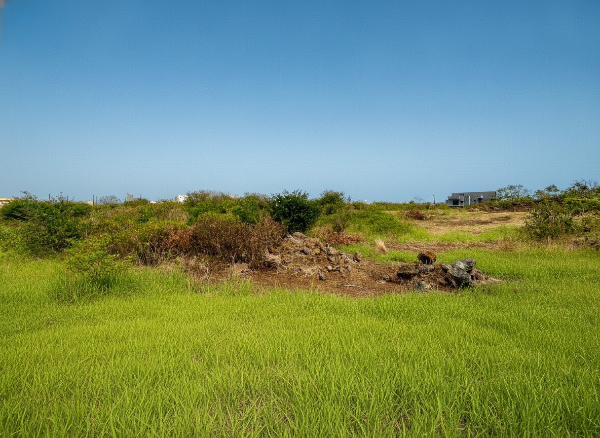For sale - Land - Péreybère