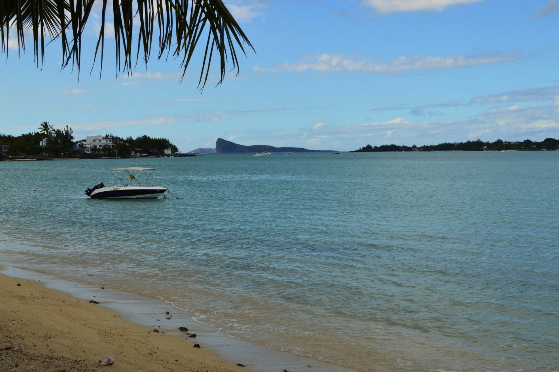 Un superbe appartement en bord de mer à Pointe aux Cannoniers