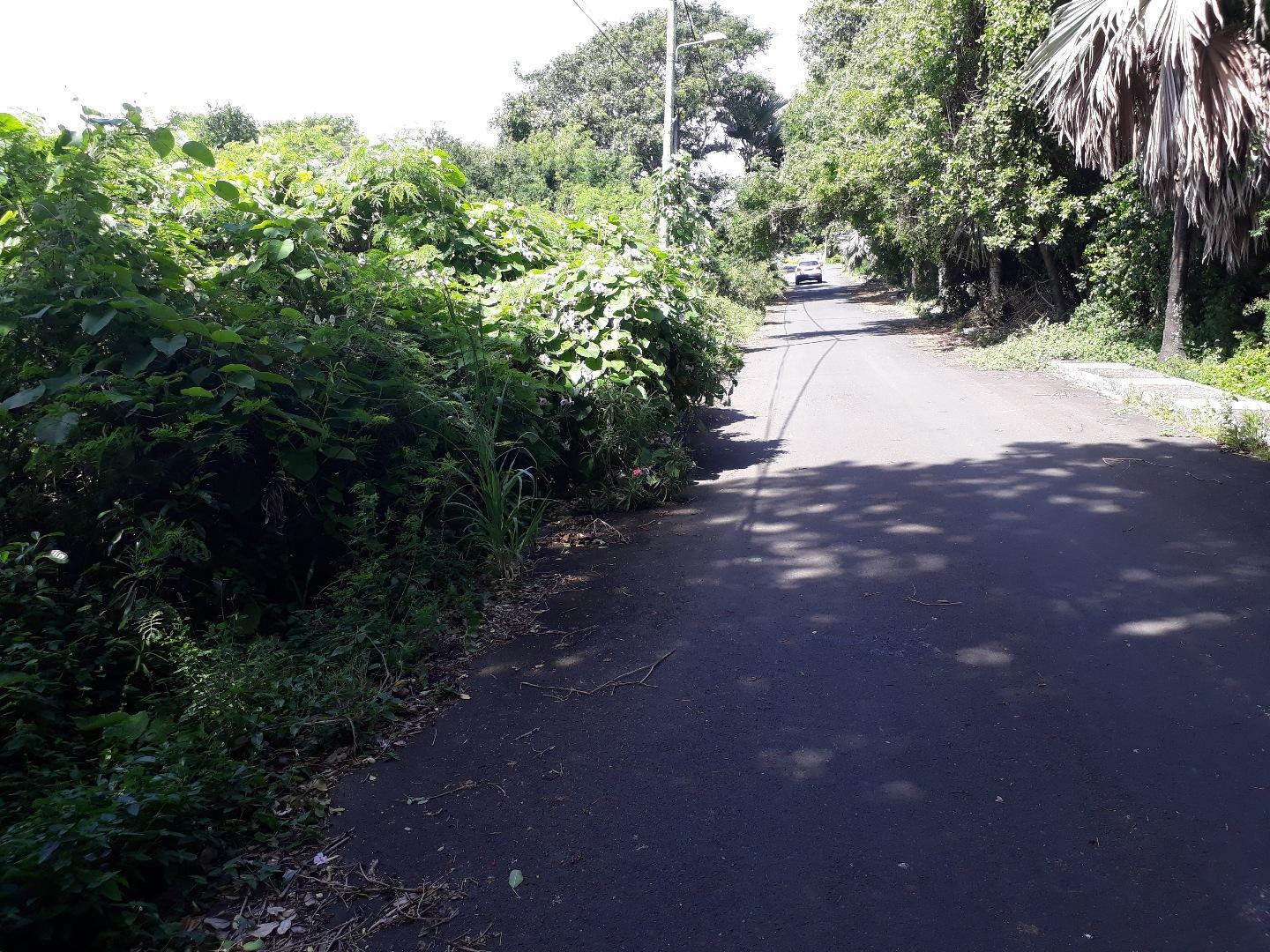 Terrain de 35 perches a vendre a St Antoine dans le morcellement Petit Village