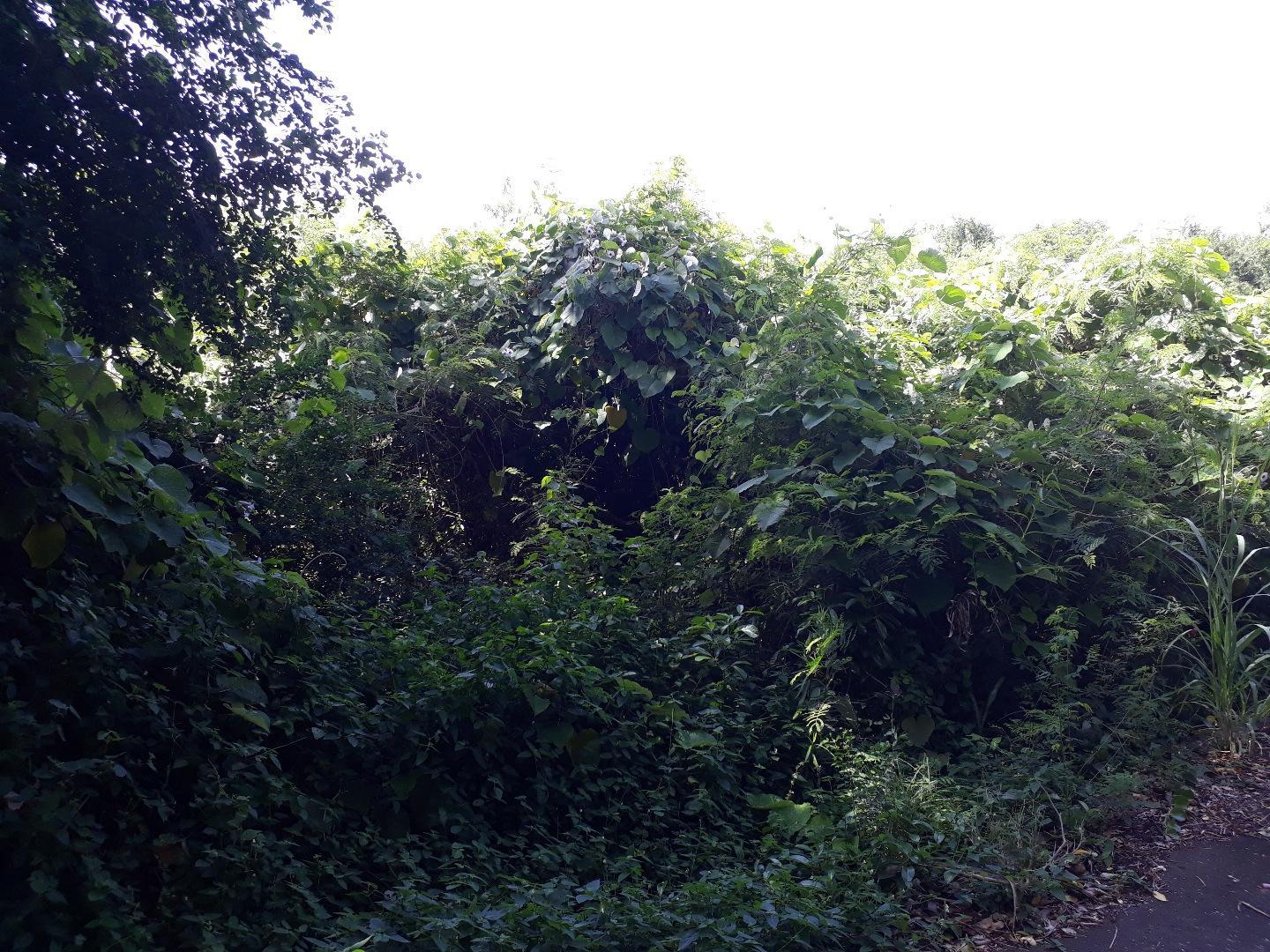 Terrain de 35 perches a vendre a St Antoine dans le morcellement Petit Village