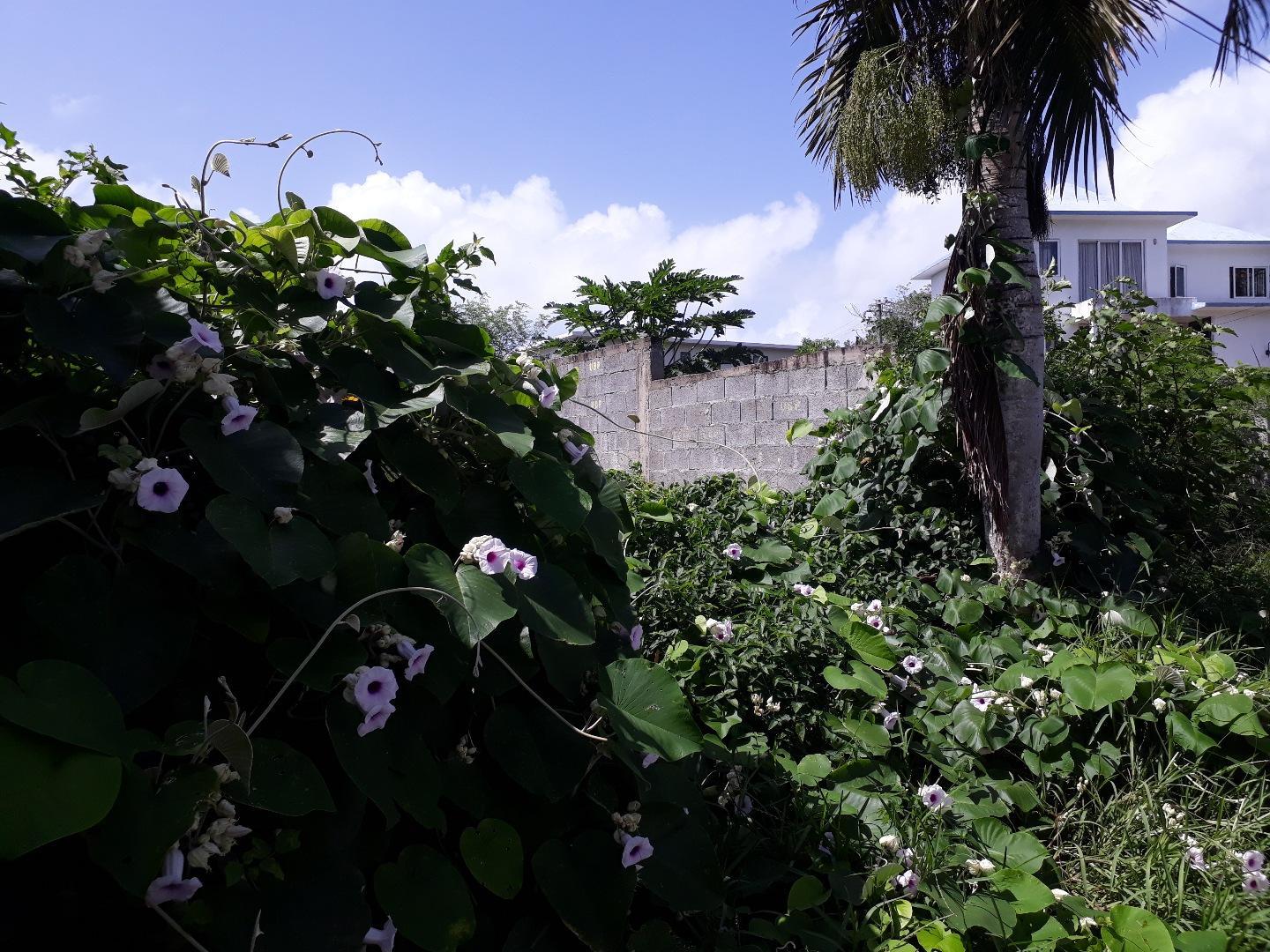 Terrain de 35 perches a vendre a St Antoine dans le morcellement Petit Village