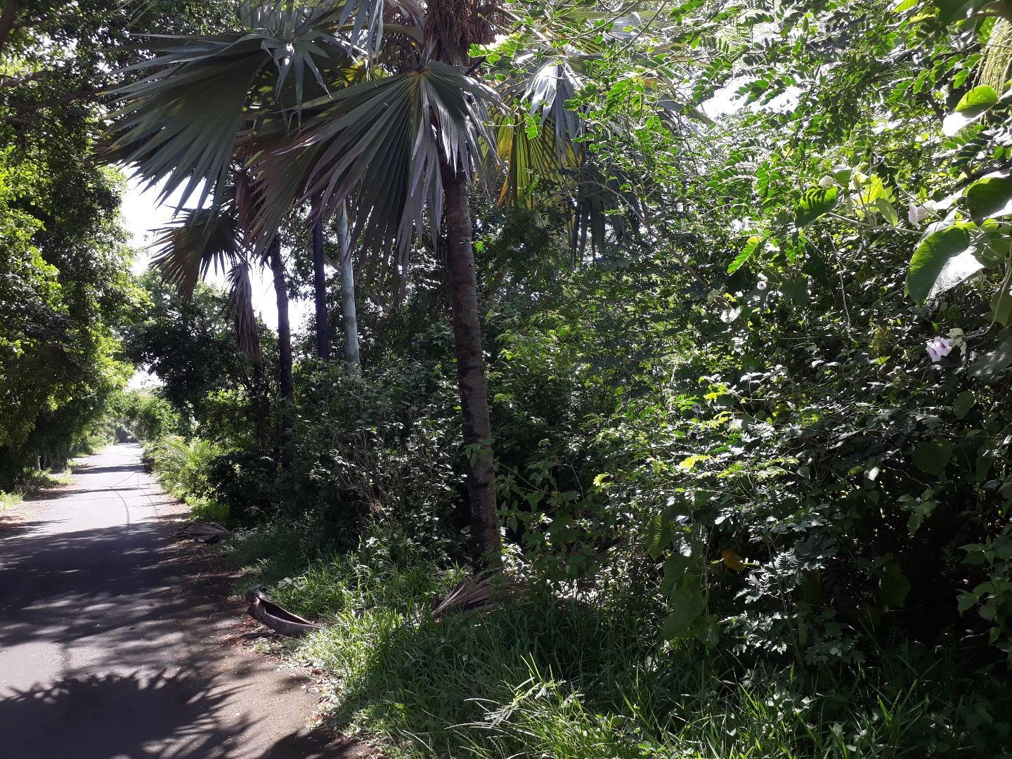 Terrain de 35 perches a vendre a St Antoine dans le morcellement Petit Village