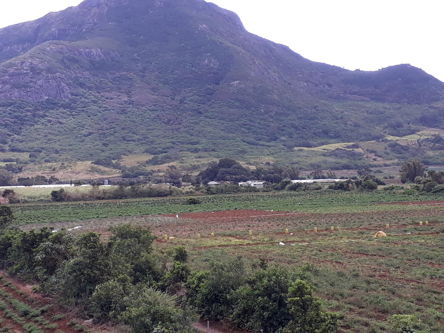Terrain agricole a Vendre de 11 arpents a Petit Verger Moka
