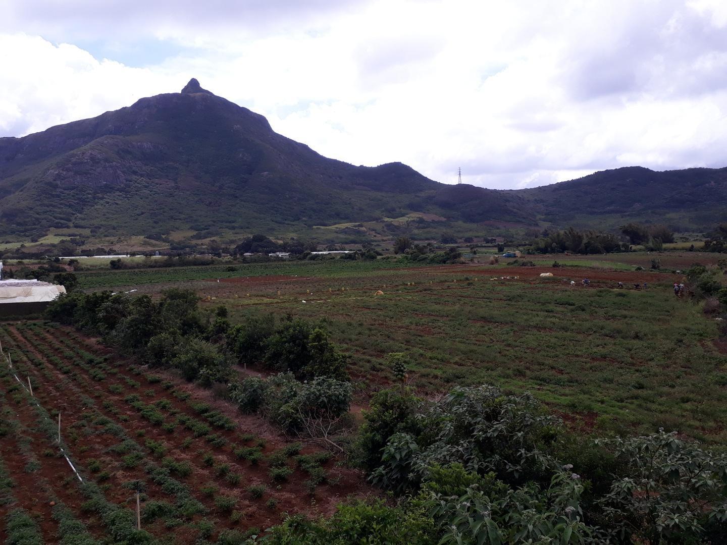 Terrain agricole a Vendre de 11 arpents a Petit Verger Moka