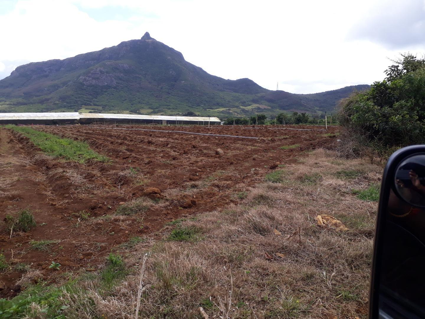 Terrain agricole a Vendre de 11 arpents a Petit Verger Moka