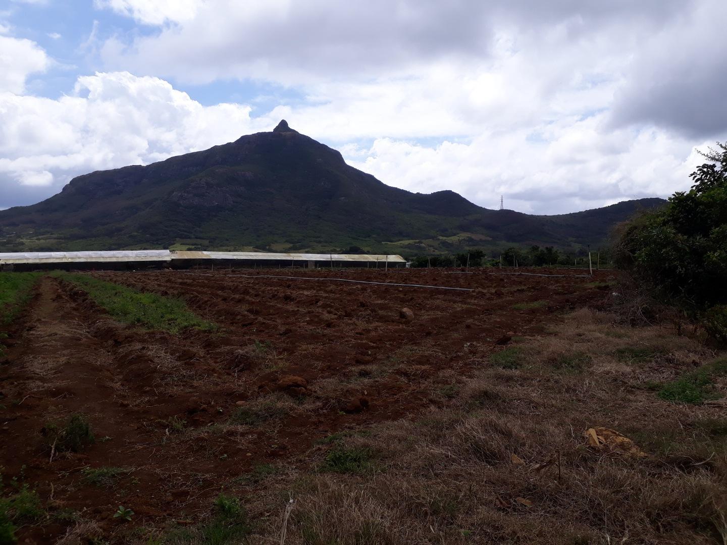 Terrain agricole a Vendre de 11 arpents a Petit Verger Moka