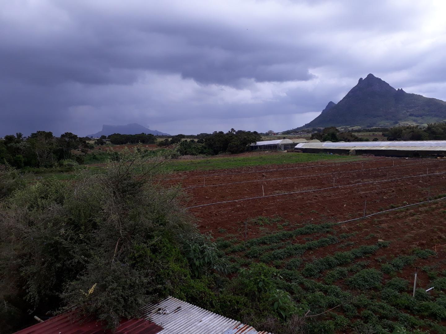 Terrain agricole a Vendre de 11 arpents a Petit Verger Moka