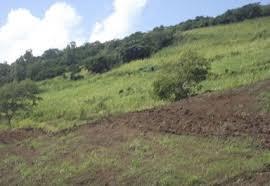 Terrain agricole a vendre de 4.5 arpents a Grand Sable