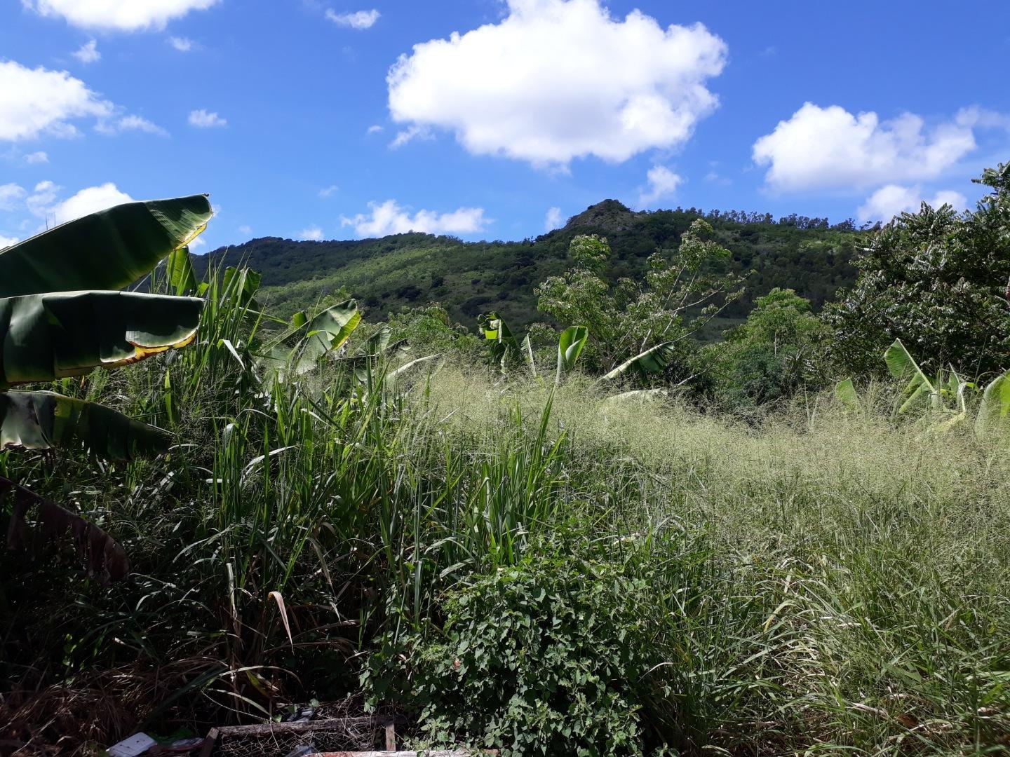 Terrain Résidentiel à vendre à Bois Pignolet de 2.80 arpents