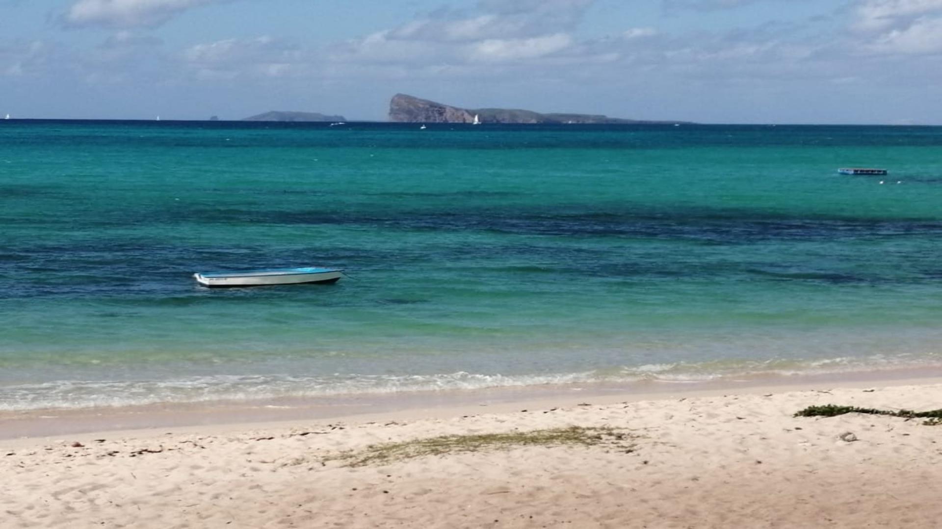 Appartement Pieds dans L'eau  à vendre à Pointe aux Canonniers avec plage de sable blanc