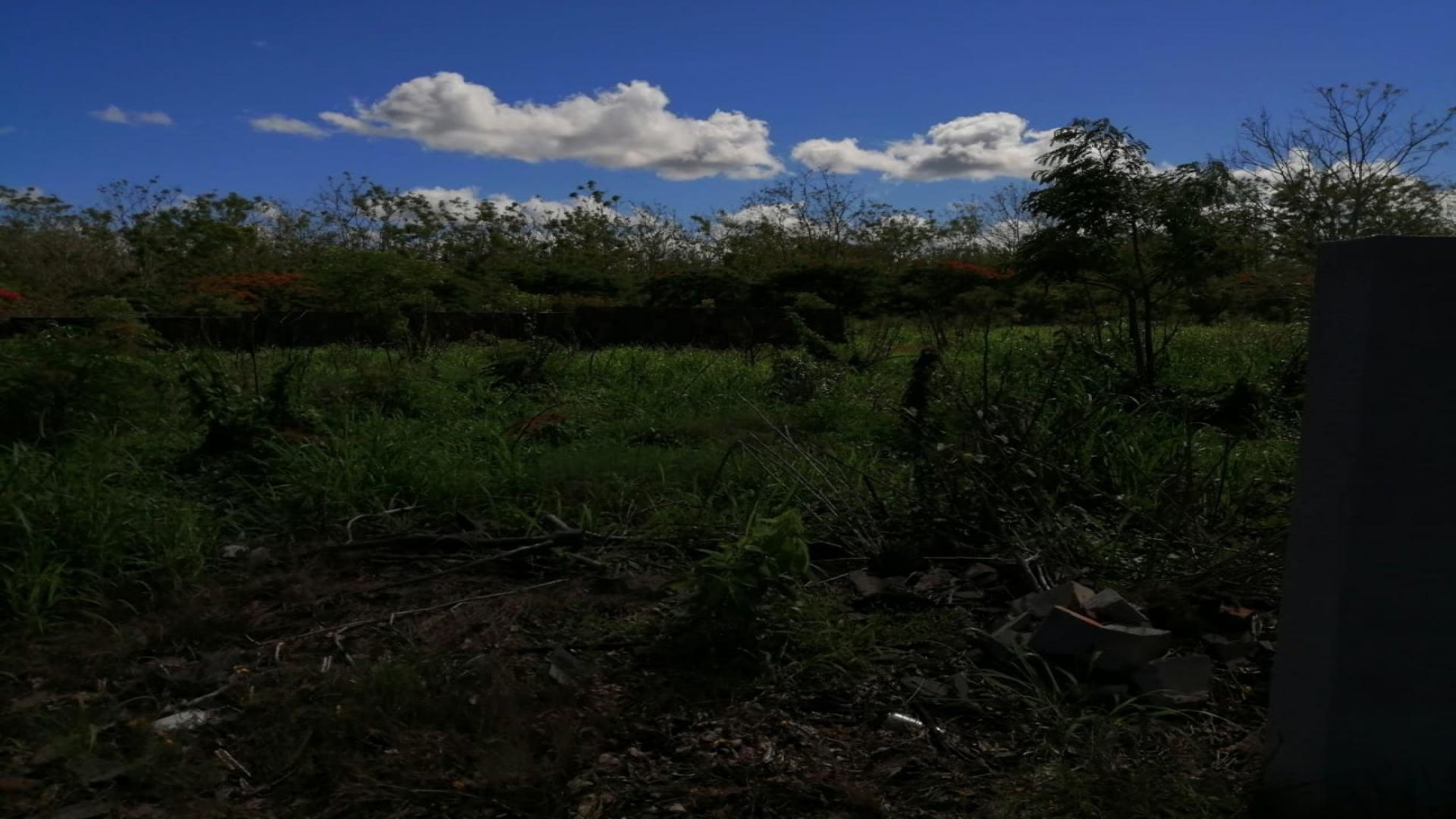 Terrain de 25 perches à vendre a Royal Park a Balaclava dans un communaute fermee