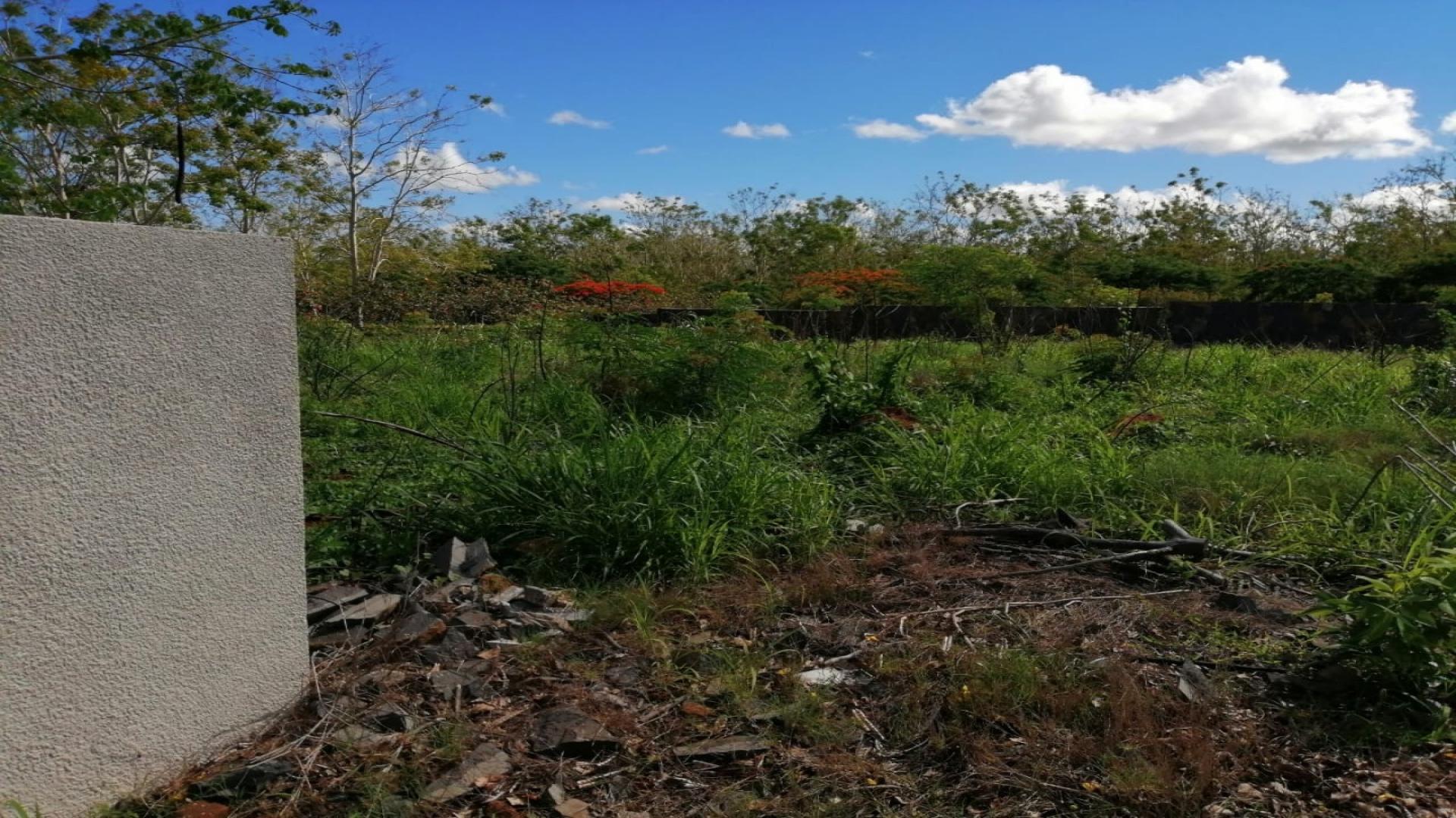 Terrain de 25 perches à vendre a Royal Park a Balaclava dans un communaute fermee