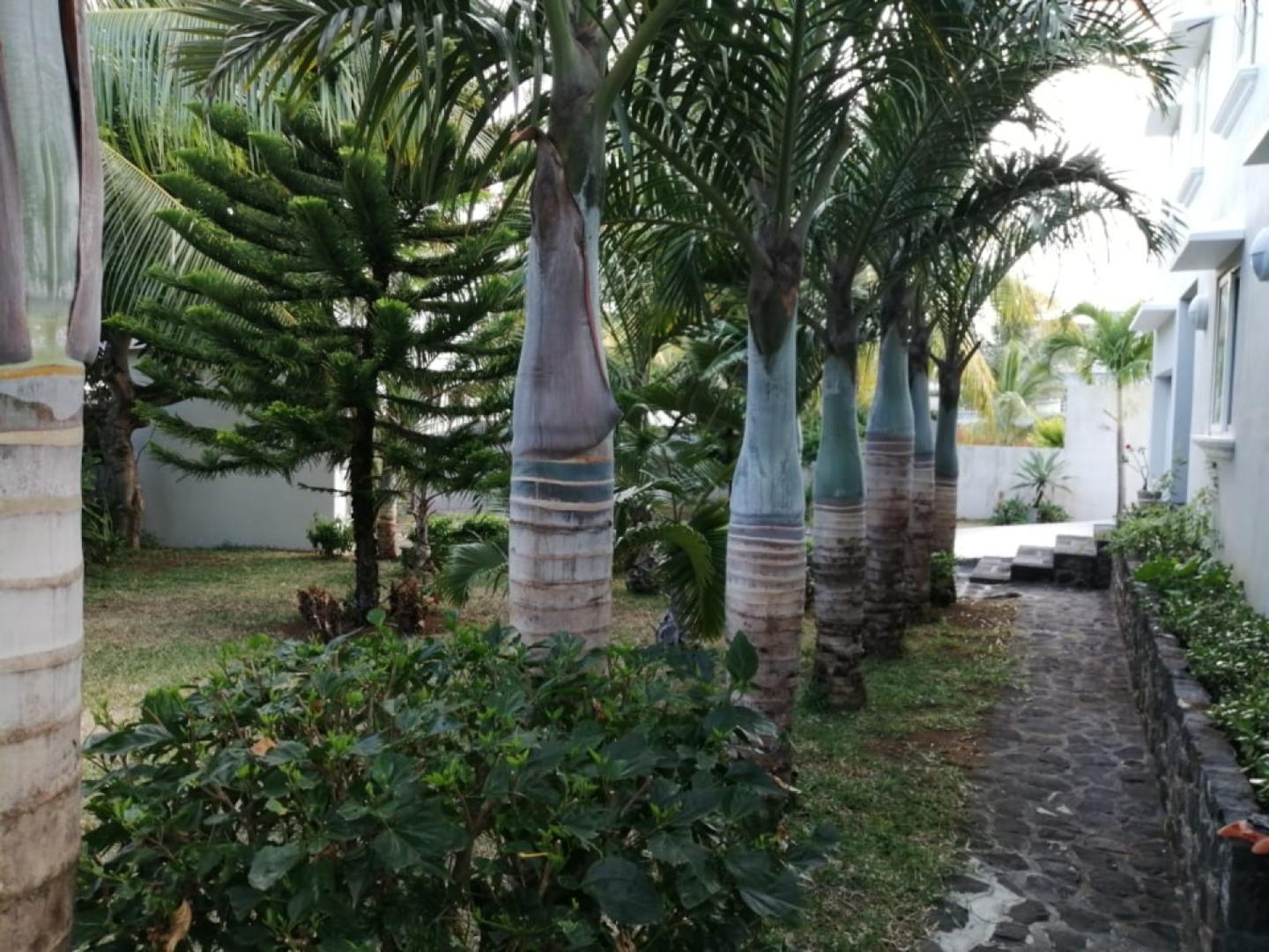 Charmante maison/villa contemporaine à vendre à St Antoine avec piscine.