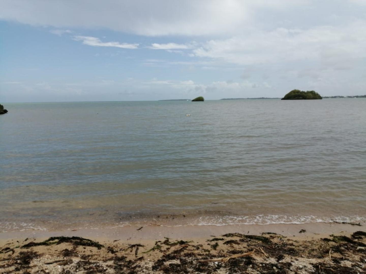 Terrain en toute Propriete Pieds dans L'eau a Vieux Grand Port pres d'un projet RES