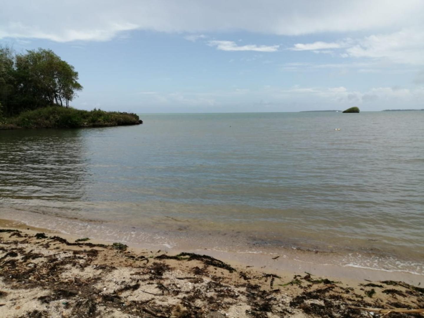 Terrain en toute Propriete Pieds dans L'eau a Vieux Grand Port pres d'un projet RES