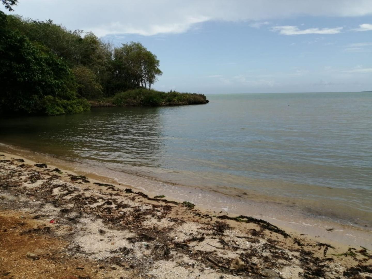 Terrain en toute Propriete Pieds dans L'eau a Vieux Grand Port pres d'un projet RES