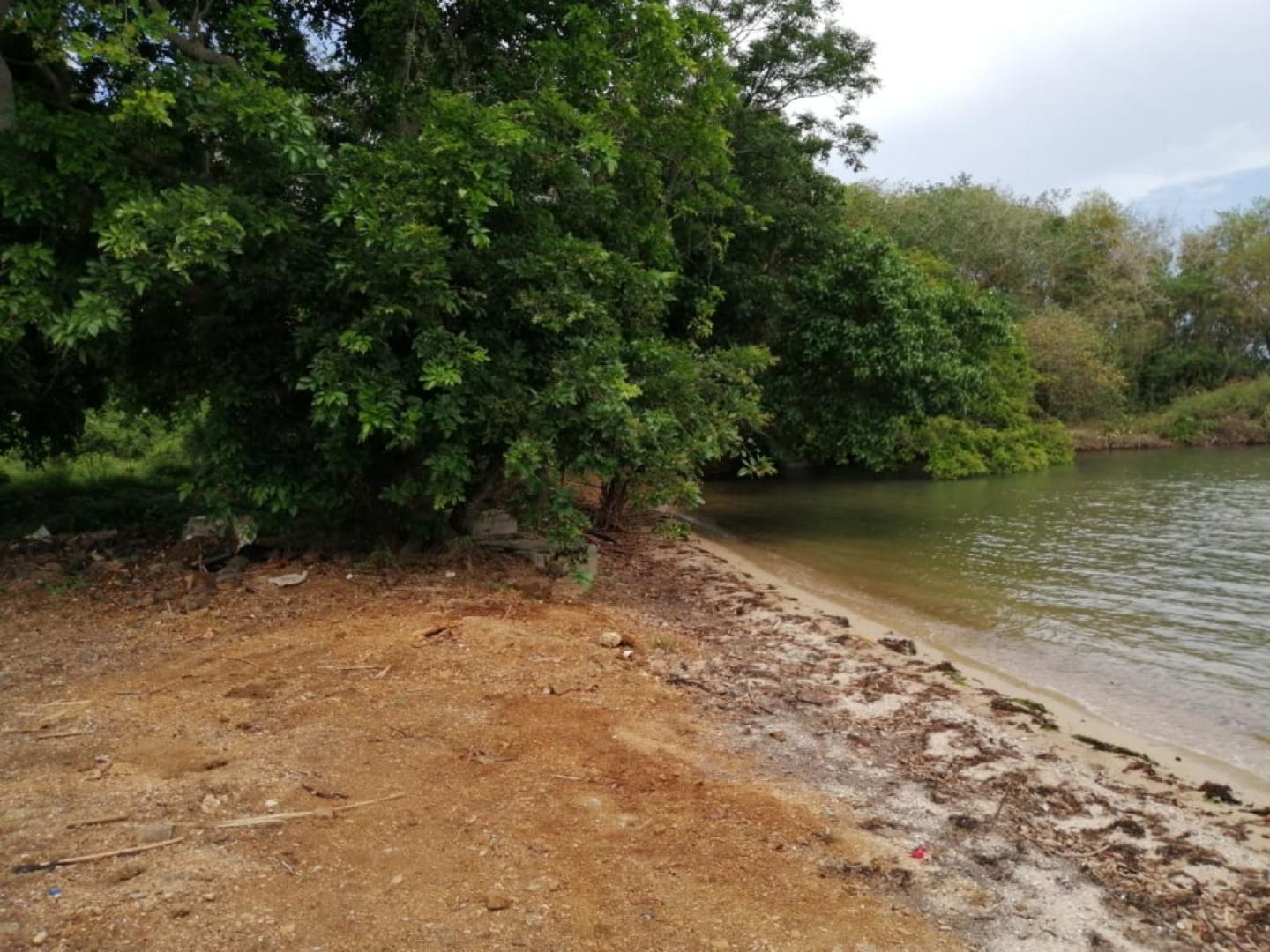 Terrain en toute Propriete Pieds dans L'eau a Vieux Grand Port pres d'un projet RES