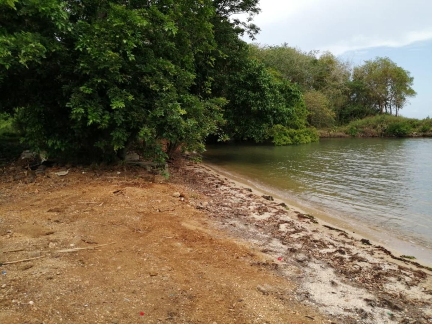 Terrain en toute Propriete Pieds dans L'eau a Vieux Grand Port pres d'un projet RES