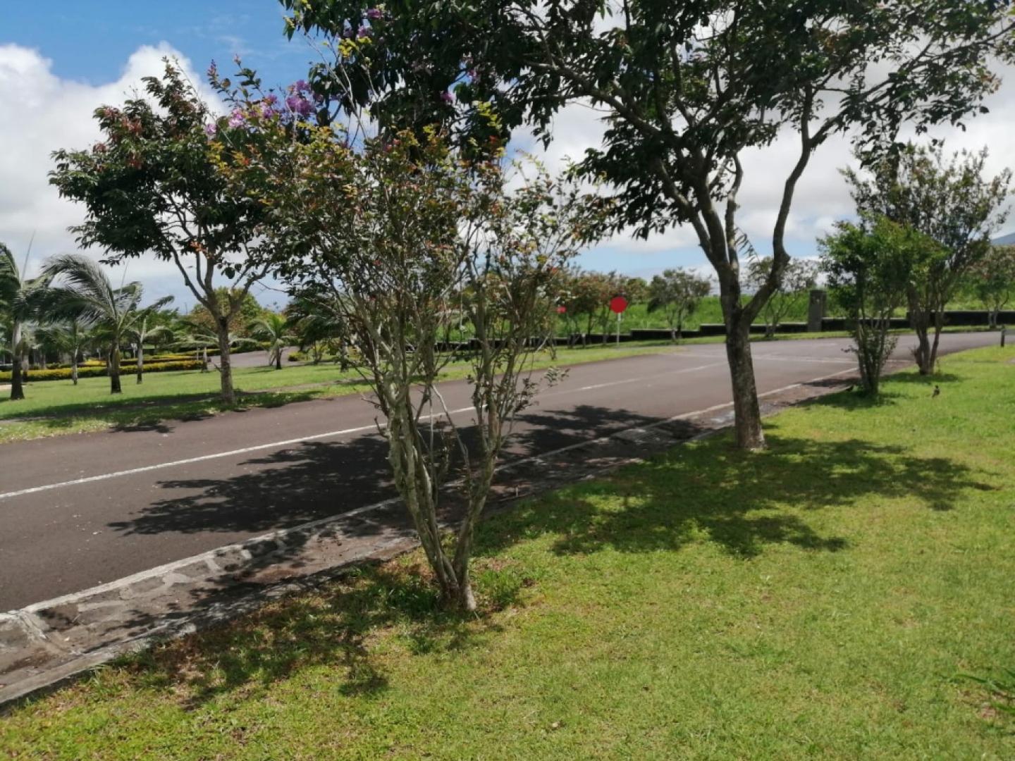 Terrain à vendre à Mon Piton de 330 toises dans un morcellement fermée a Piton