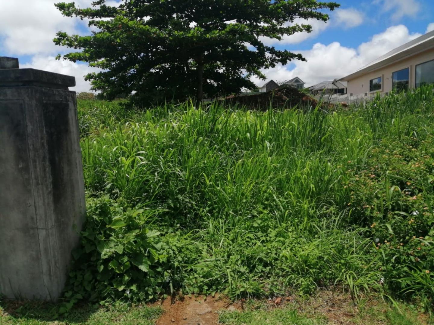 Terrain à vendre à Mon Piton de 330 toises dans un morcellement fermée a Piton