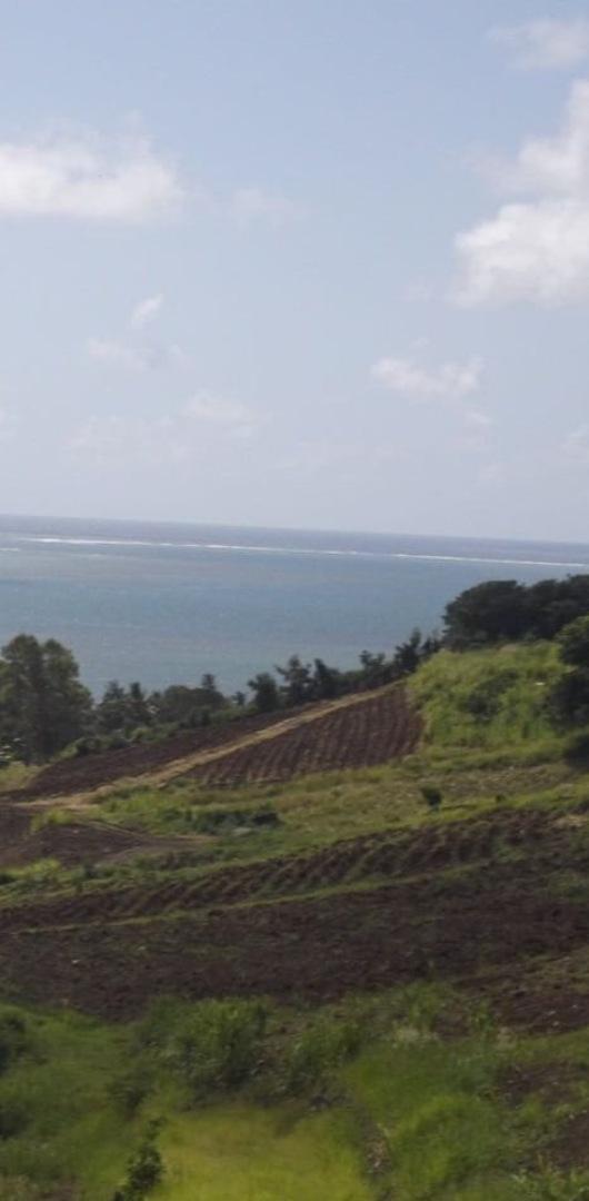 Terrain agricole à vendre à Anse Jonchee de 26 arpents