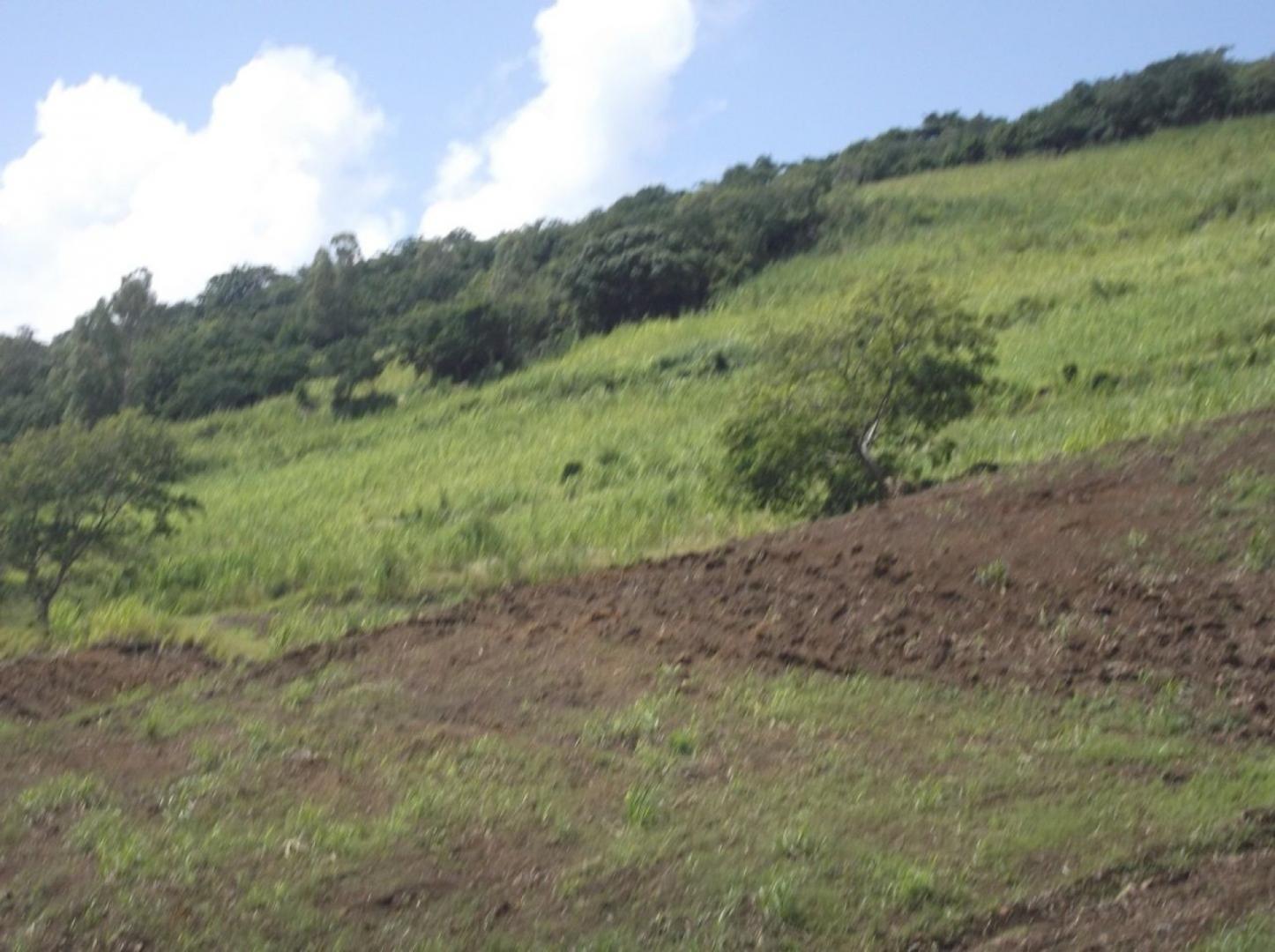 Terrain agricole à vendre à Anse Jonchee de 26 arpents