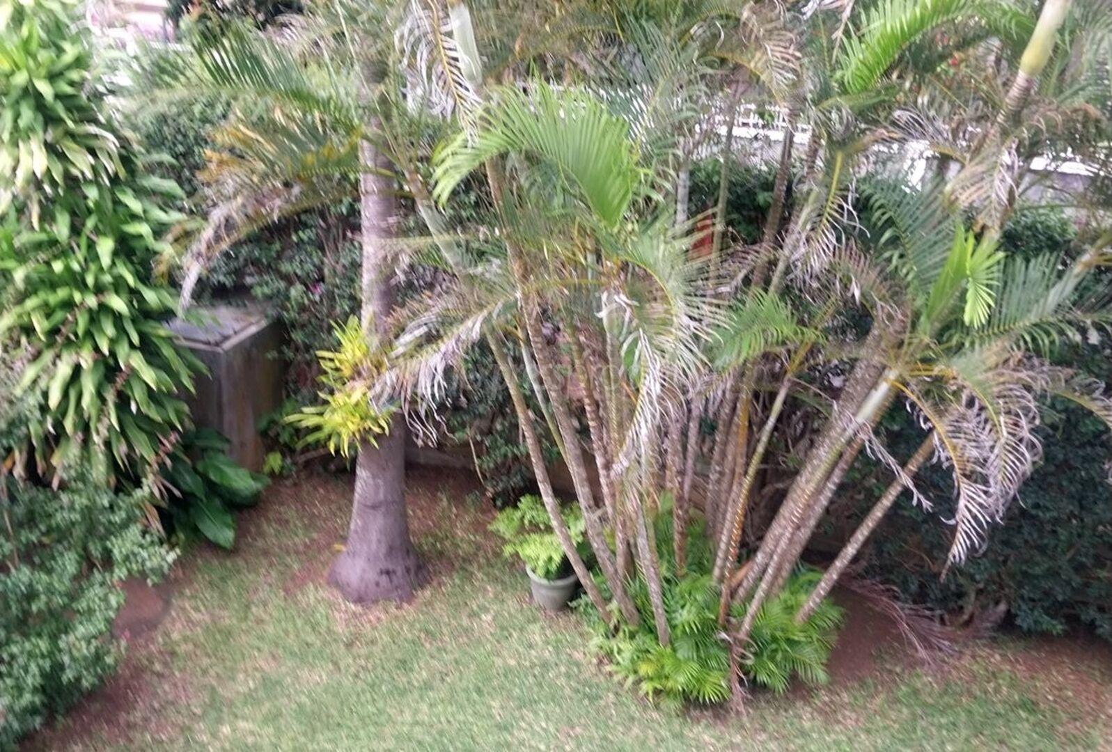 Maison à vendre à Quatre Bornes, 185m² habitables sur 380m² de terrain. 3 chambres, parking, jardin, proche écoles et hôpital. Prix : 11 800 000 €.