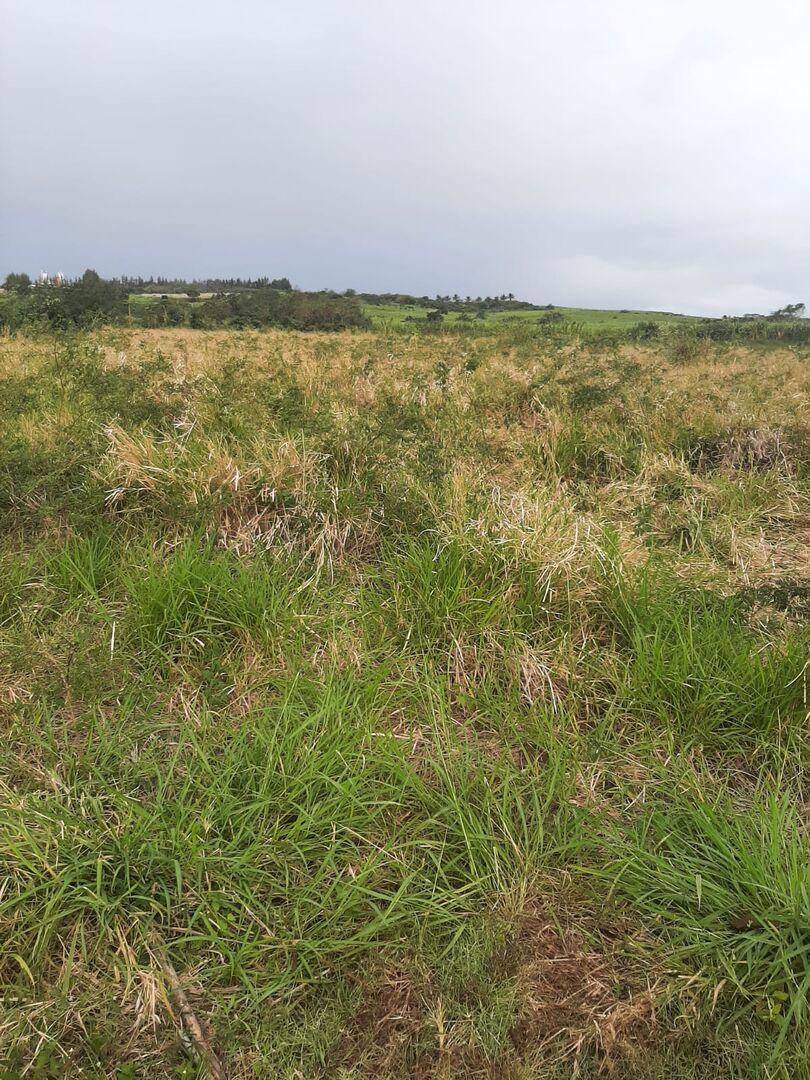 Terrain de 2 arpents a Vendre en 2eme position du Bypass Triolet