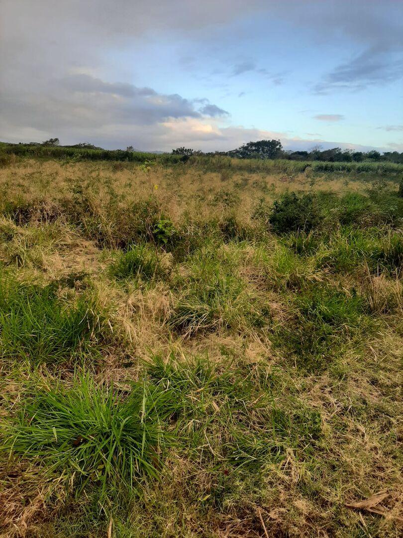 Terrain de 2 arpents a Vendre en 2eme position du Bypass Triolet