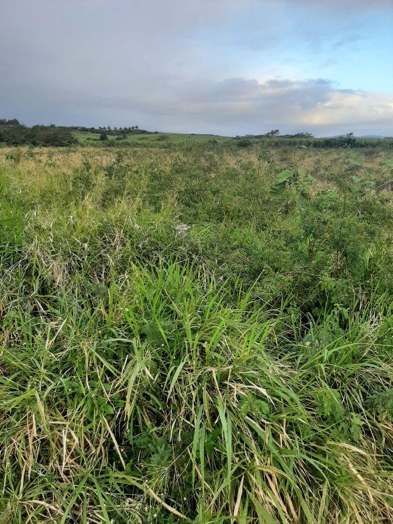 Terrain de 2 arpents a Vendre en 2eme position du Bypass Triolet