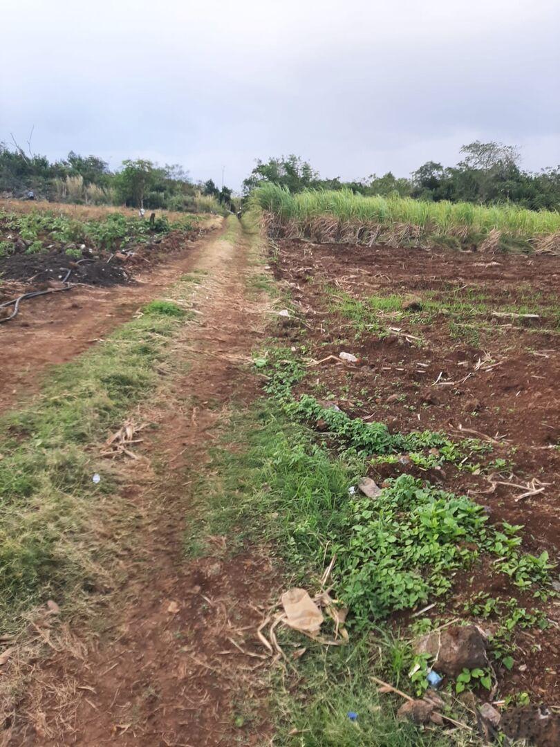 Terrain de 2 arpents a Vendre en 2eme position du Bypass Triolet