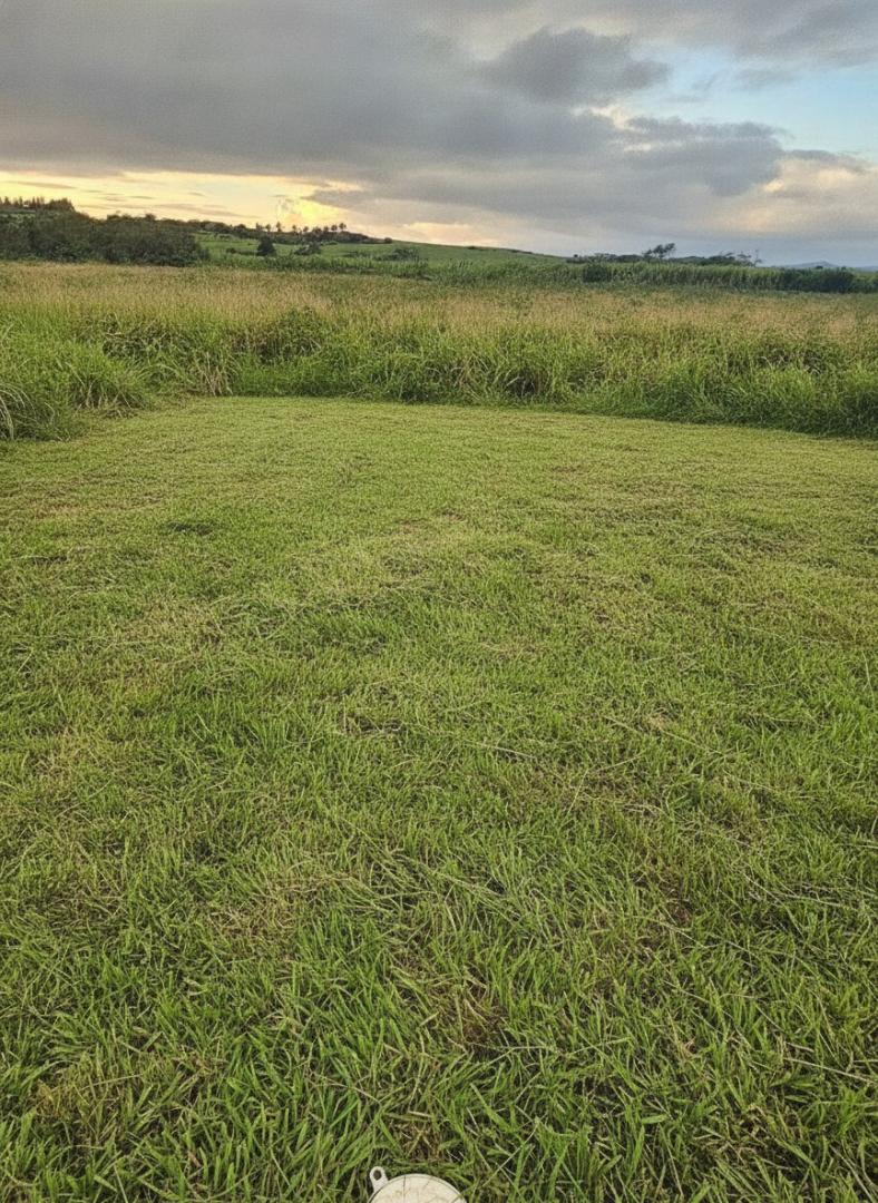 Terrain agricole de premier choix à vendre à Triolet – Opportunité d'investissement de 8 221 m²