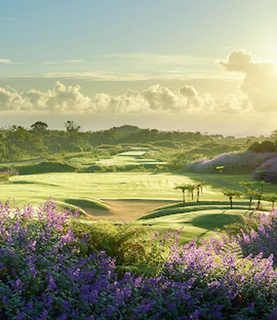 Terrain résidentiel à vendre à Avalon Golf Estate a Bois Cheri. Jardin,golf, parking sécurisé, vue mer et montagne. Rs 11 500 000.