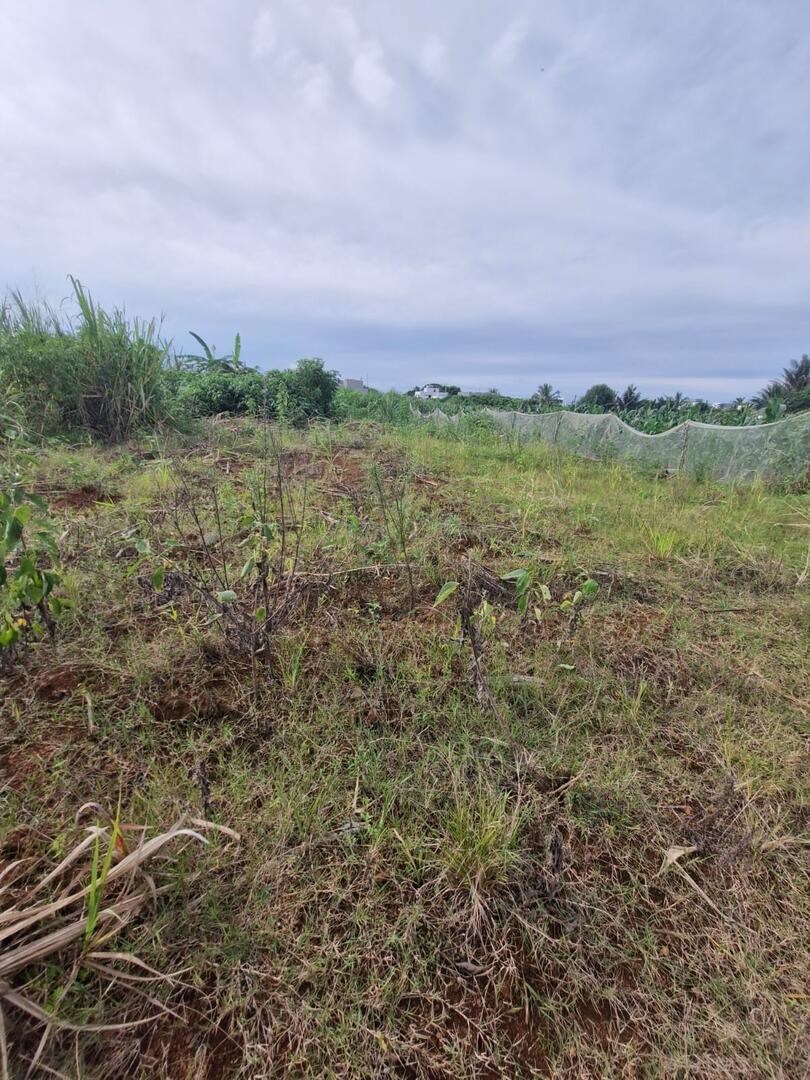 Terrain de 50 Perches à Vendre à l’Île Maurice – Terrain Résidentiel Proche des Commodités