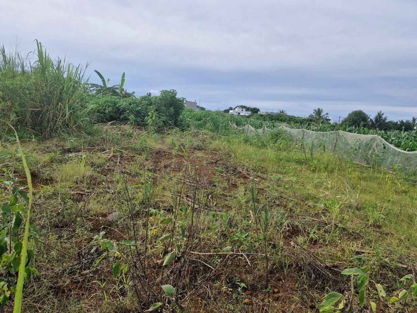 Terrain de 50 Perches à Vendre à l’Île Maurice – Terrain Résidentiel Proche des Commodités