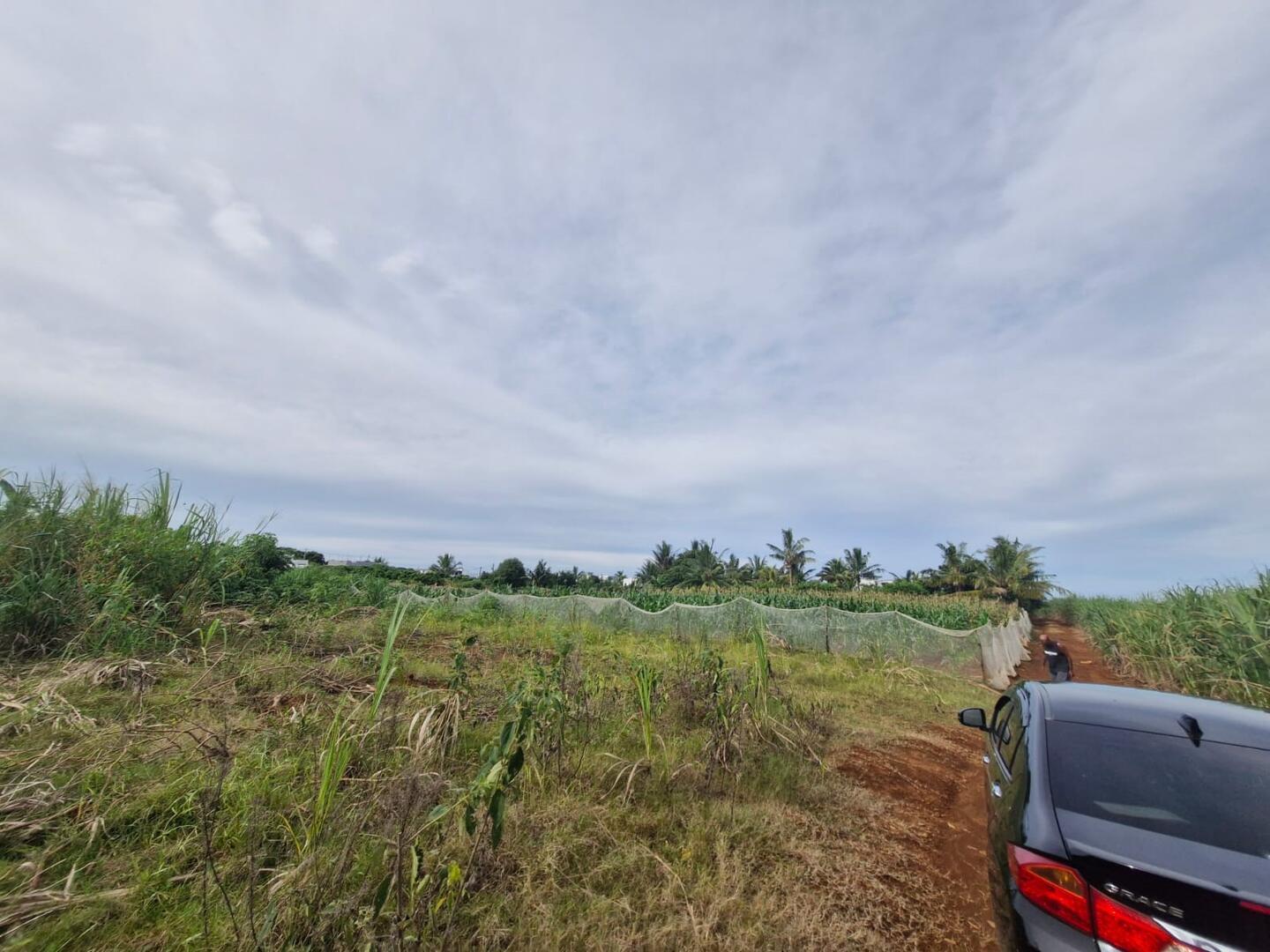 Terrain de 50 Perches à Vendre à l’Île Maurice – Terrain Résidentiel Proche des Commodités