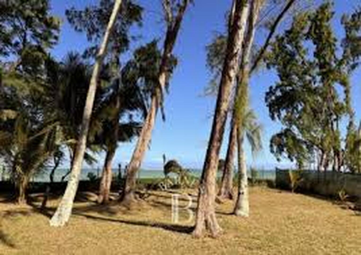 Investissez dans un Terrain Front de Mer de 60 Perches à Riambel – Propriété en Bord de Plage de Sable Blanc à Vendre