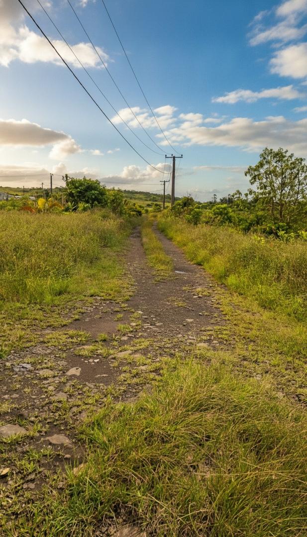 17 arpents Arpents de terrain agricole à vendre à l'île Maurice – Opportunité d'investissement de premier choix à proximité d'une zone résidentielle
