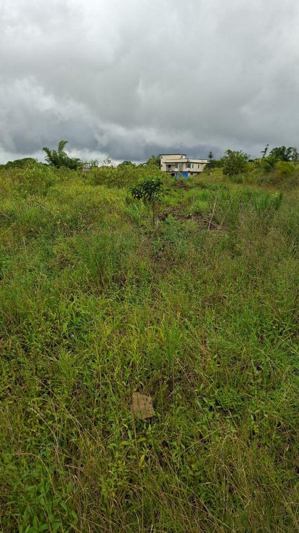 17 arpents Arpents de terrain agricole à vendre à l'île Maurice – Opportunité d'investissement de premier choix à proximité d'une zone résidentielle