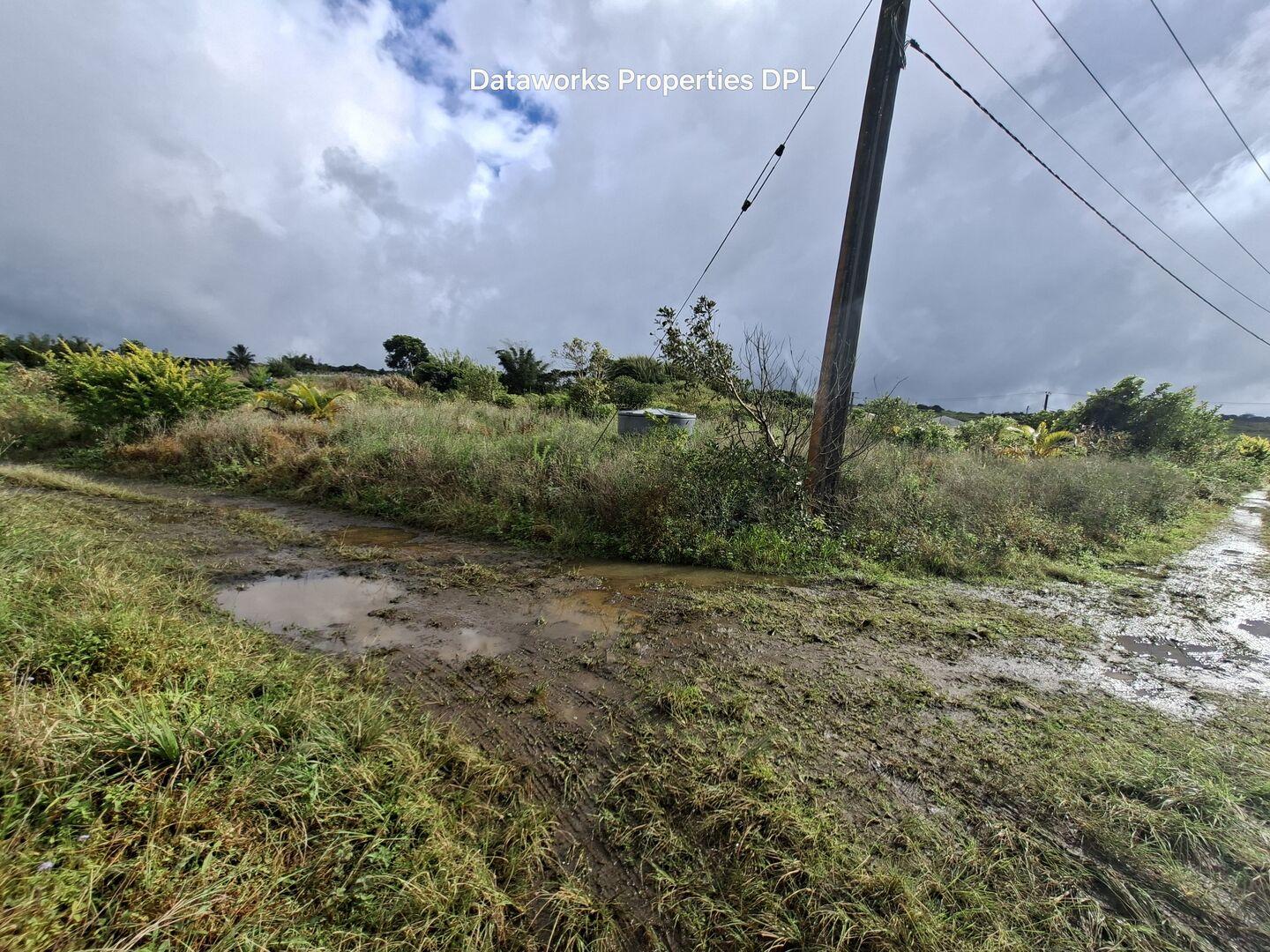 17 arpents Arpents de terrain agricole à vendre à l'île Maurice – Opportunité d'investissement de premier choix à proximité d'une zone résidentielle