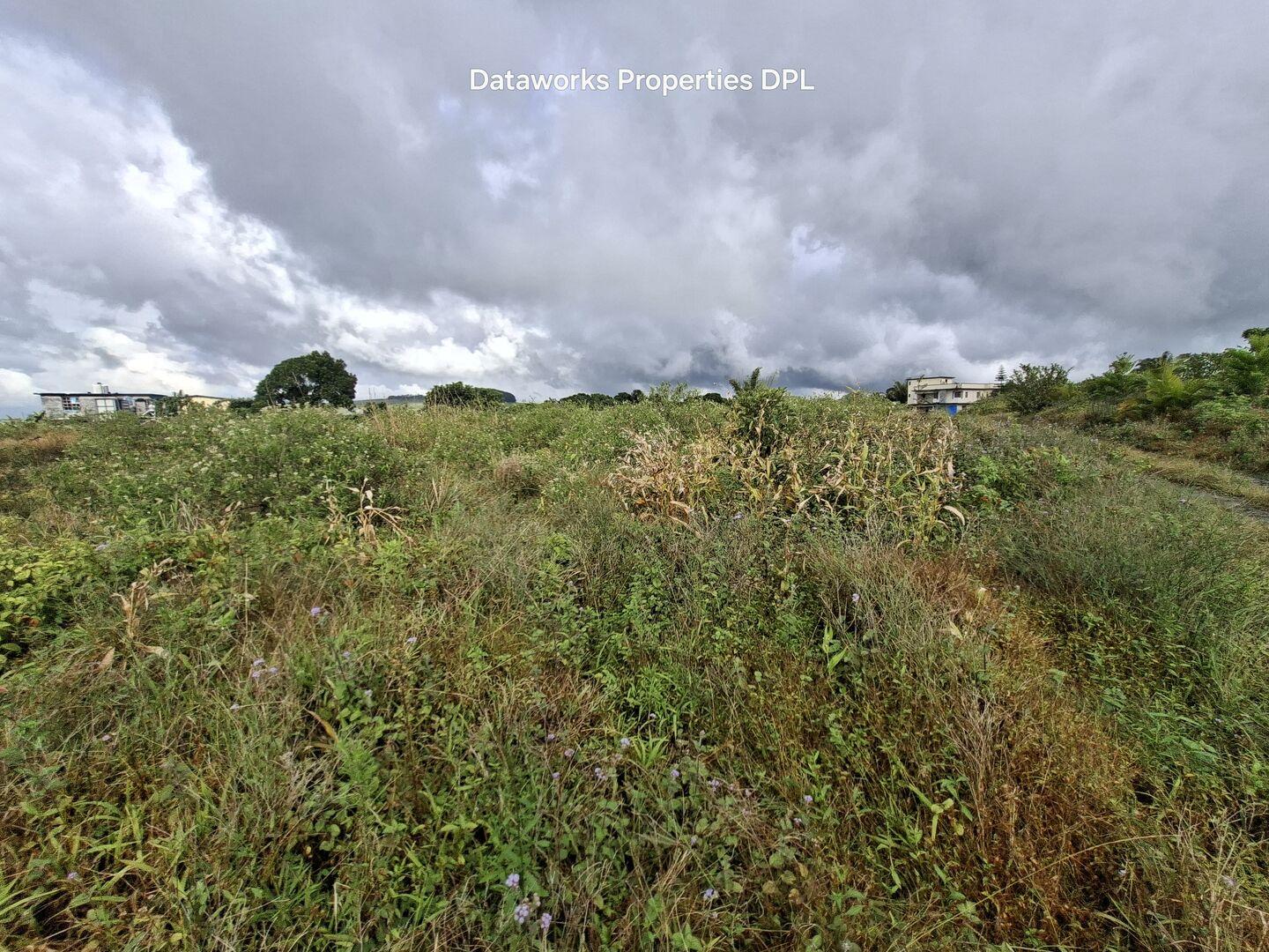 17 arpents Arpents de terrain agricole à vendre à l'île Maurice – Opportunité d'investissement de premier choix à proximité d'une zone résidentielle