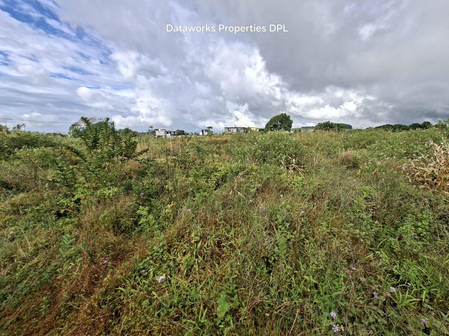 17 arpents Arpents de terrain agricole à vendre à l'île Maurice – Opportunité d'investissement de premier choix à proximité d'une zone résidentielle