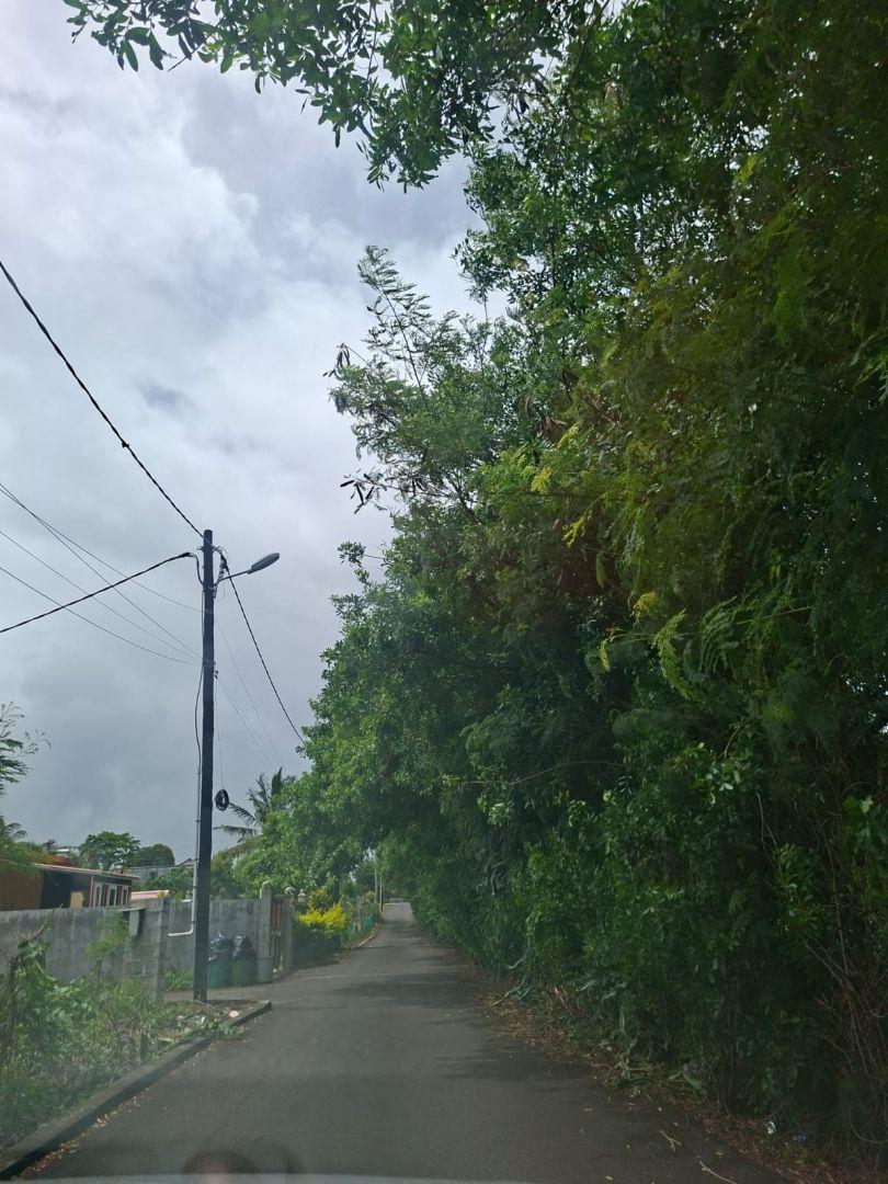 Terrain Résidentiel à Vendre à Paillot – 4 221 m² avec plantations des litchis
