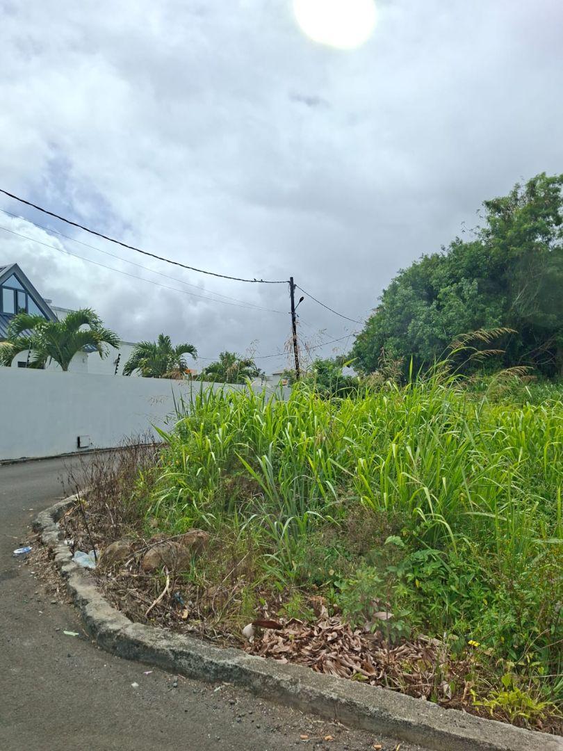 Terrain Résidentiel à Vendre à Paillot – 4 221 m² avec plantations des litchis