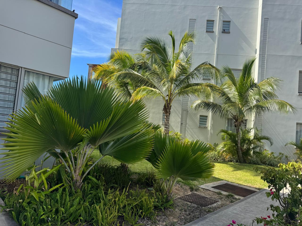 Penthouse en bord de mer à vendre – Pointe aux Piments